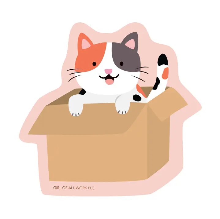 CAT IN A BOX VINYL STICKER