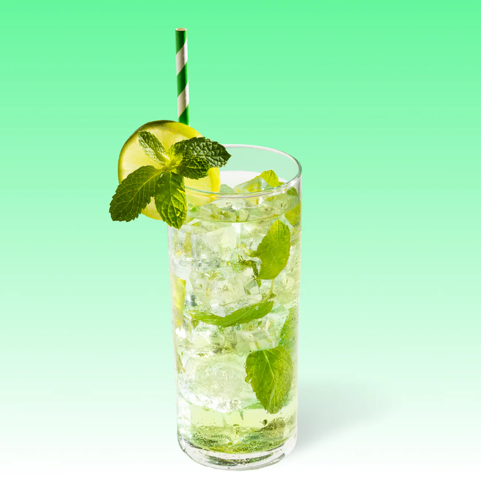 MINT MOJITO MIX