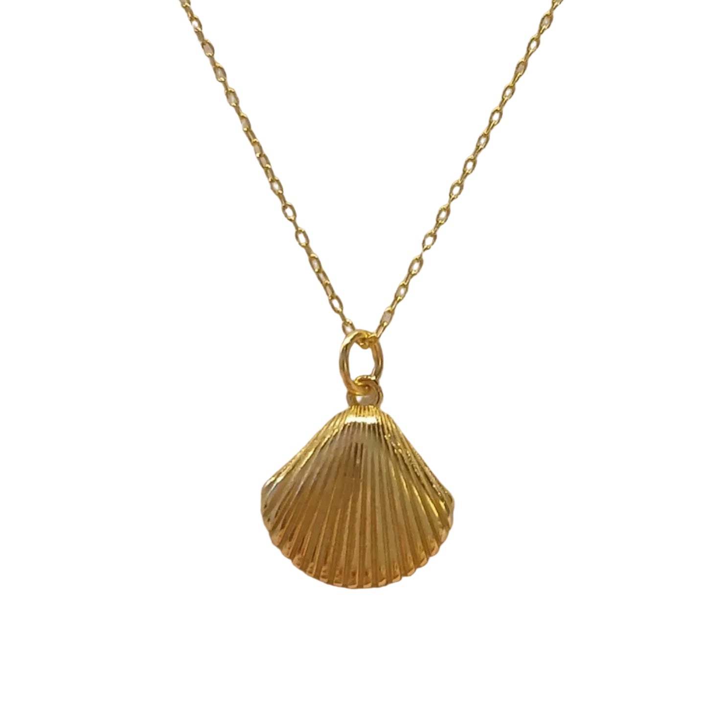 SEASHELL PENDANT NECKLACE