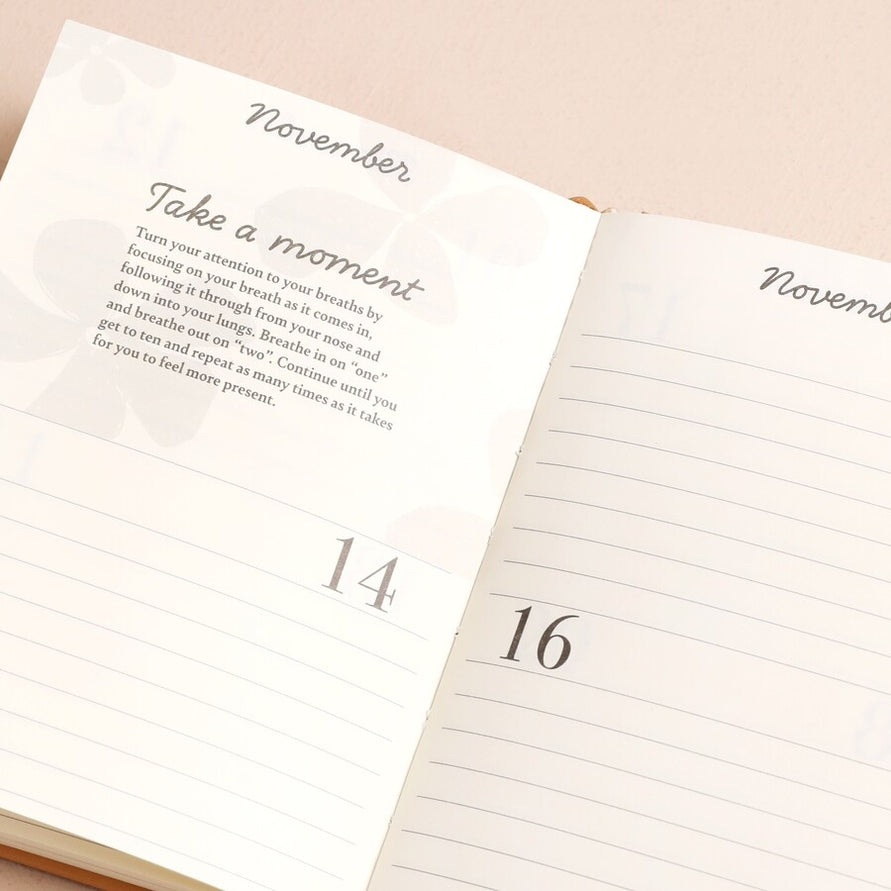 52 WEEKS OF POSITIVITY DIARY