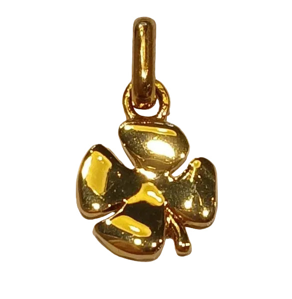 CLOVER CHARM