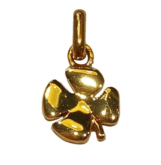 CLOVER CHARM