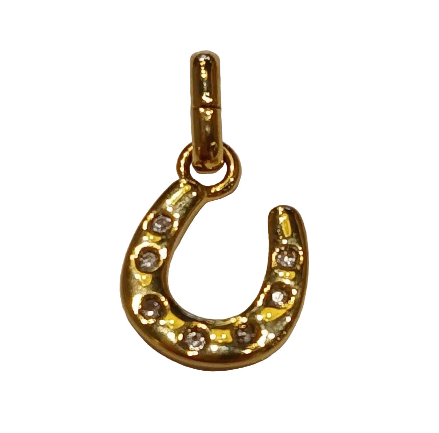 HORSESHOE CHARM