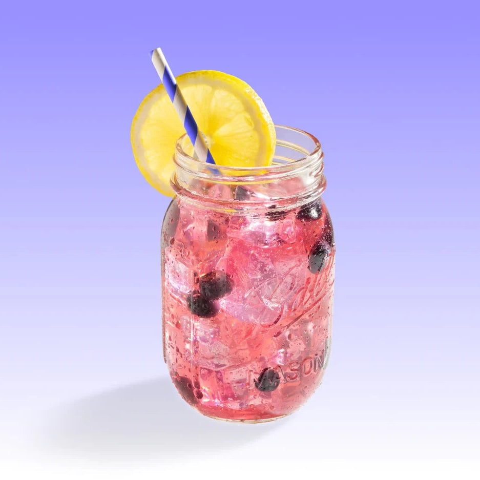 BLUEBERRY LEMONADE MIX