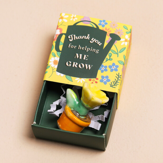 PLANT POT - MATCHBOX TOKEN