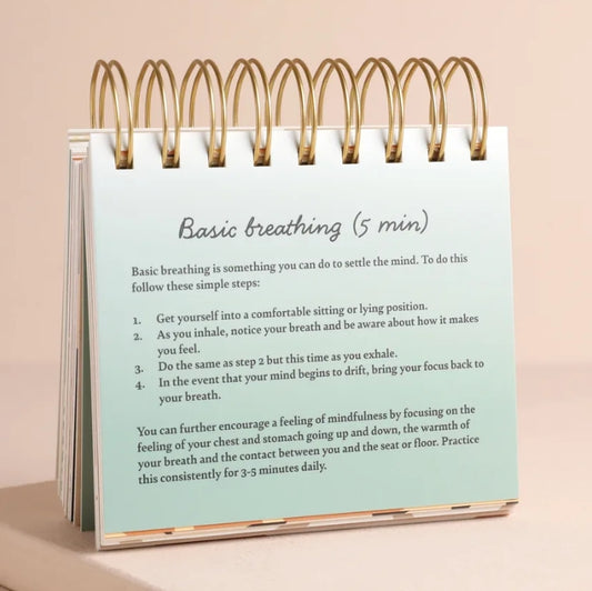 DAILY MINDFULNESS FLIP CHART