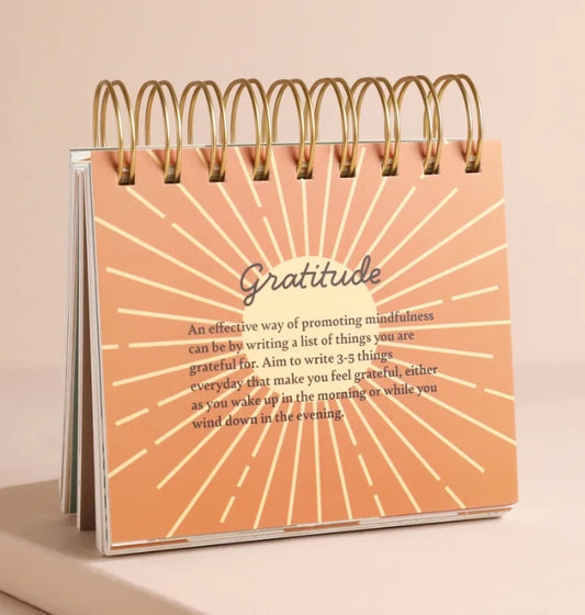 DAILY MINDFULNESS FLIP CHART