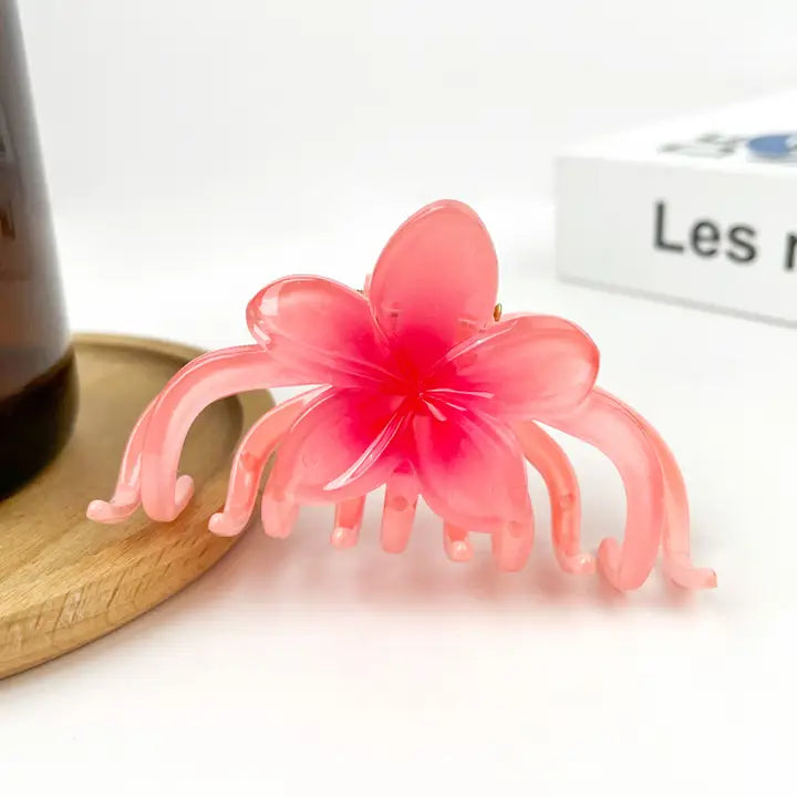 DS CLAW CLIP