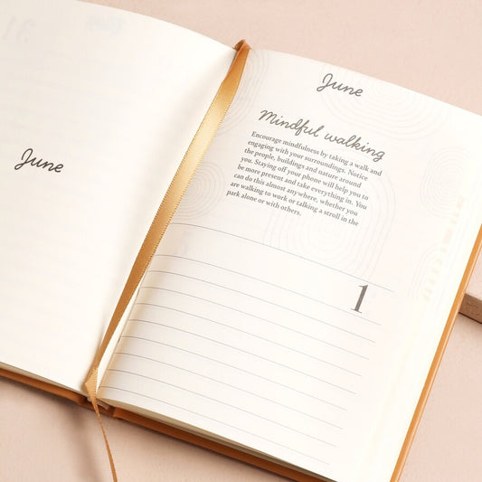 52 WEEKS OF POSITIVITY DIARY