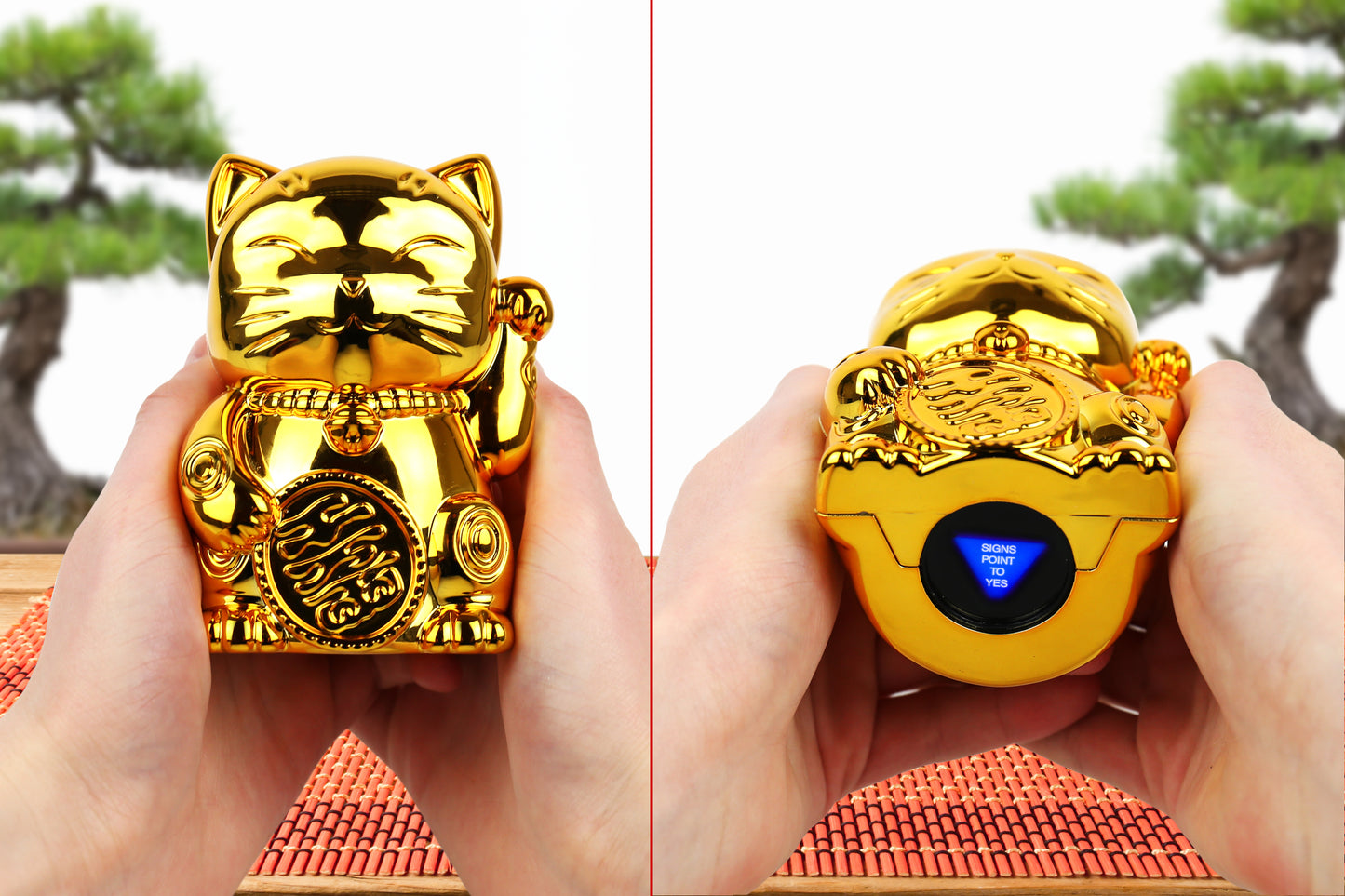 FORTUNE KITTY