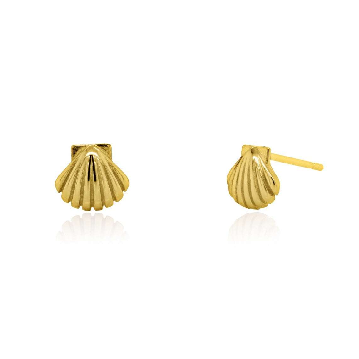 SEASHELL STUDS