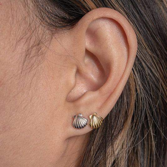 SEASHELL STUDS
