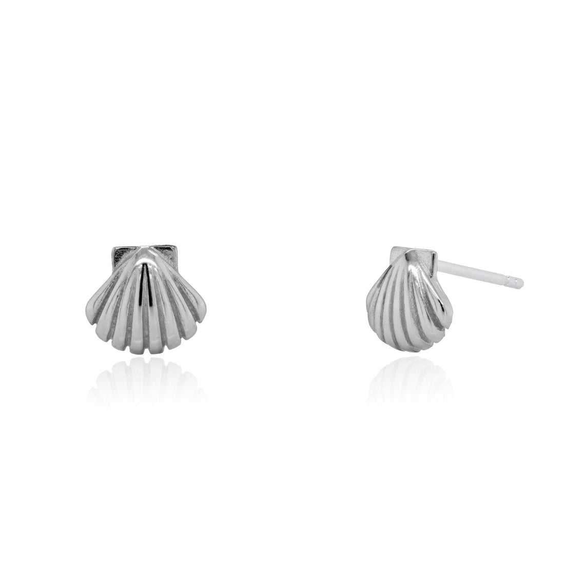 SEASHELL STUDS