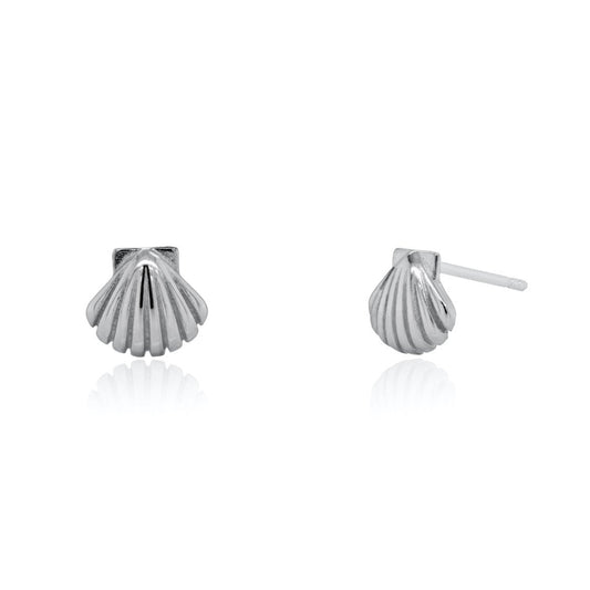 SEASHELL STUDS